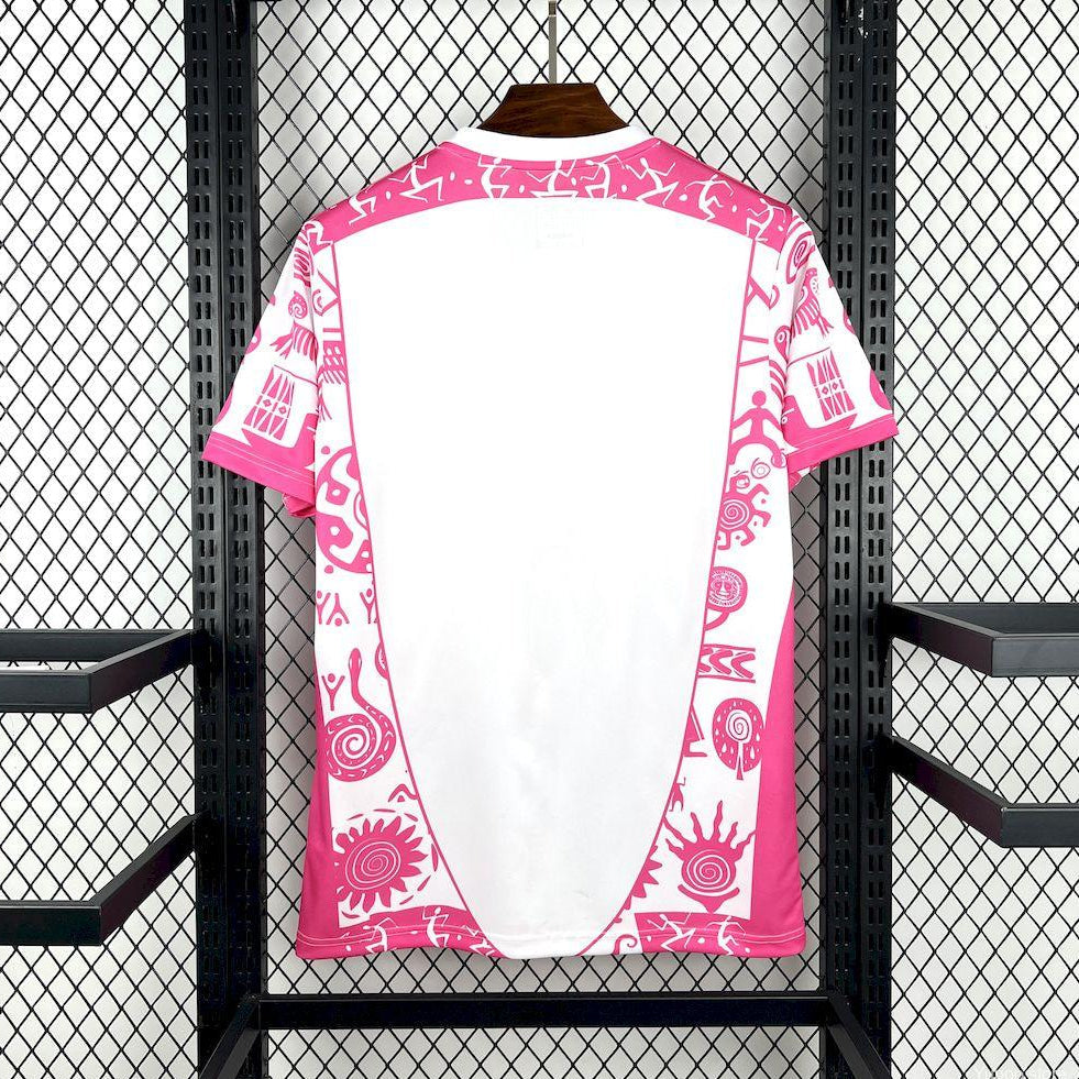2025/2026 Mexico Concept Pink